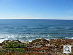 Click to see YDSCF9026.JPG