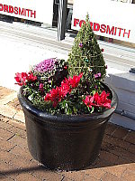 Click to see YDSCF0079.JPG