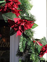 Click to see YDSCF0103.JPG