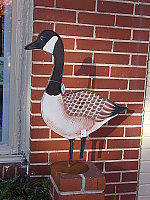 Click to see YDSCF0112.JPG