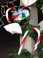 Click to see YDSCF0118.JPG