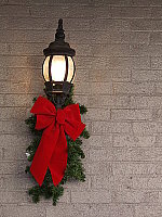 Click to see YDSCF0123.JPG