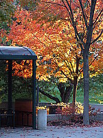 Click to see YS9KDSCF0033.JPG