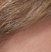 Sony DSC-T33 digital camera image