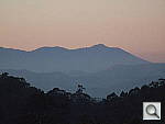 Click to see YDSCF0003.JPG