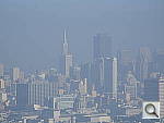 Click to see YDSCF0231.JPG