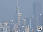 Click to see YDSCF0232.JPG