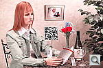 Click to see SD1INBTP2.JPG