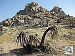 Click to see YIMG_0426.JPG