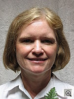 Click to see SD2OUTFACAP0.JPG