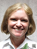 Click to see SD2OUTFACAP2.JPG