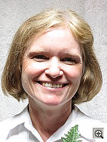 Click to see SD2OUTFACAP3.JPG