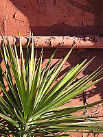 Click to see YIMG_0616.JPG