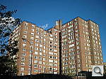 Click to see Y92-0131.JPG