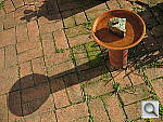Click to see YIMG_0004.JPG