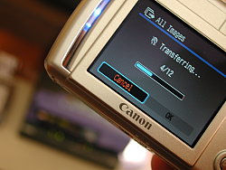 DSCN9252.JPG
