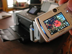 DSCN9261.JPG