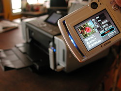 DSCN9262.JPG
