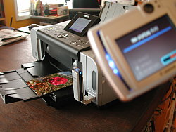 DSCN9264.JPG
