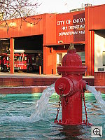 Click to see YSD500IMG_0018.JPG