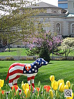 Click to see YSD500IMG_0807.JPG