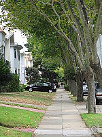 Click to see YIMG_0571.JPG