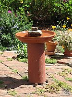 Click to see YIMG_0575.JPG