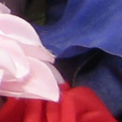 Canon PowerShot SD550 digital camera image