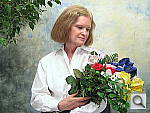 Click to see SD600INMP3.JPG