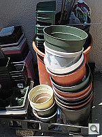 Click to see YIMG_0010.JPG
