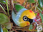 Click to see YIMG_0034.JPG