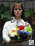 Click to see SD790ISOUTBCON1.JPG