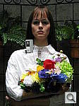 Click to see SD790ISOUTBDP1.JPG