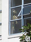 Click to see YIMG_1267.JPG