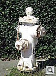 Click to see YIMG_1289.JPG