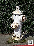 Click to see YIMG_1389.JPG