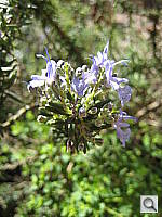 Click to see YIMG_0474.JPG