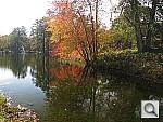 Click to see YIMG_0484.JPG