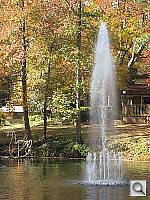 Click to see YIMG_0492.JPG