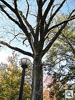 Click to see YIMG_0496.JPG