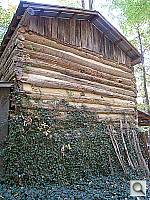 Click to see YIMG_0510.JPG