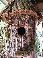Click to see YIMG_0520.JPG