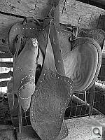 Click to see YIMG_0534.JPG