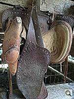 Click to see YIMG_0544.JPG