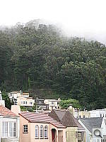 Click to see YIMG_0499.JPG