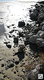 Click to see YIMG_0546.JPG