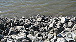 Click to see YIMG_0553.JPG