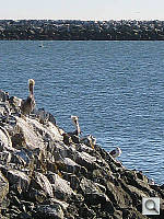 Click to see YIMG_0566.JPG