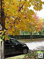 Click to see YIMG_3710.JPG