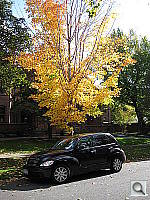 Click to see YIMG_3712.JPG